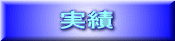 実績